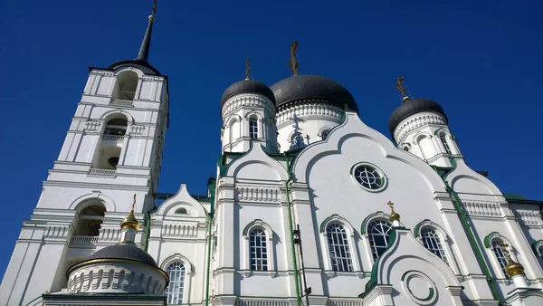 Woronesch Historischer Bau Einer Orthodoxen Kathedrale Russland Der Ukraine Weißrussland — Stockfoto