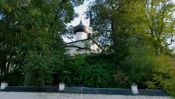 Pushkin Hills Gory Ancient Historical Building Orthodox Church Cathedral Russia — Stock Photo, Image