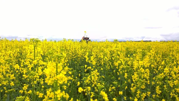 Naturel Coloré Attrayant Lumineux Plein Vie Fleur Odeur Soleil Fleur — Photo