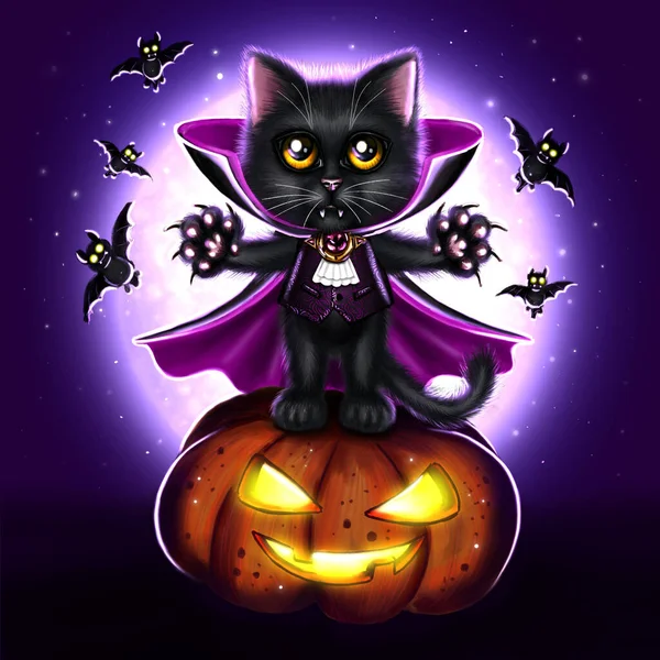 Halloween Illustration Mit Einer Schwarzen Katze Dracula Die Auf Einem — Stockfoto