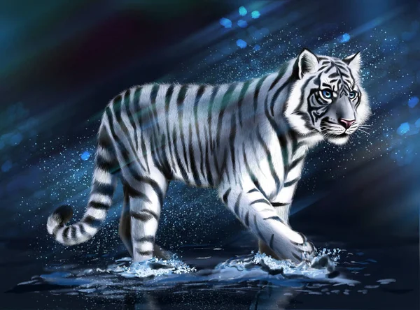 Белый Тигр Ходит Воде Темно Синем Фоне Брызгами Бликами Лучами — стоковое фото