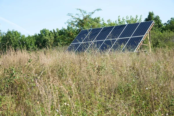 Solar panels in the field surrounded by grass and trees, close-up. Flowers in the foreground sway in the wind. Concept of eco-friendly lifestyle, green energy, carbon footprint reduce