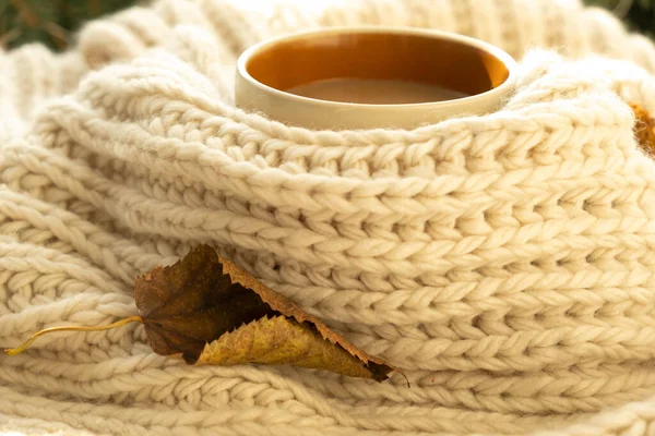 Cup of autumn coffee, tea or hot chocolate, fall leaf on a warm scarf. Drink for autumn cold rainy days. Seasonal, morning coffee. Sunday relaxing, hygge, still life concept