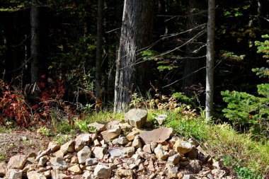 Ekim 'de sonbahar ormanı güzeldir Ekim' de sonbahar ormanı güzeldir.