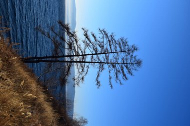 Baykal Gölü 'nün buzlanma döneminin başlangıcındaki doğası.