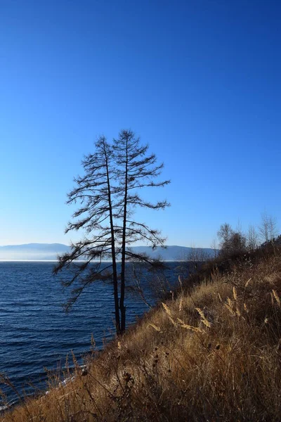 Naturaleza Del Lago Baikal Comienzo Del Período Hielo —  Fotos de Stock