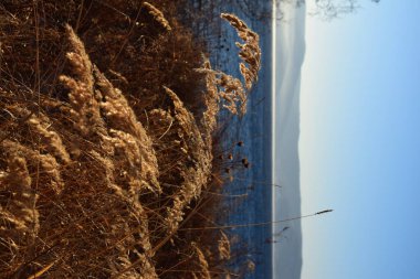 Baykal Gölü 'nün kışın başlangıcındaki doğası.