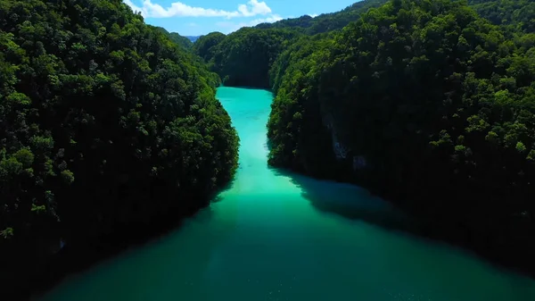 Bela Natureza Oceano Palau — Fotografia de Stock
