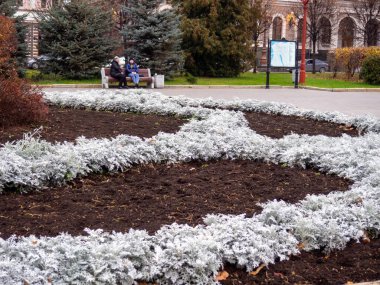 Sonbahar çiçek tarhı. Çiçeksiz bir çiçek tarlası. Sonbaharda şehir parkı
