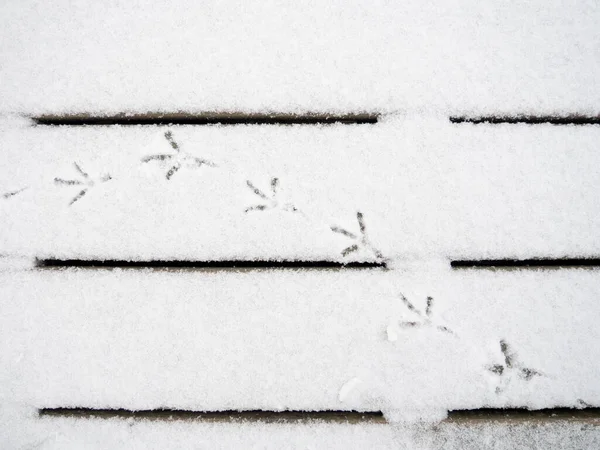 鸟儿在雪地上的踪迹 一个脚印的图案 鸽子在雪地里散步 — 图库照片