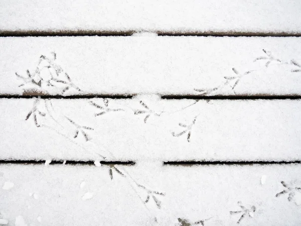 Vogelspuren Schnee Ein Muster Von Fußabdrücken Tauben Laufen Schnee Oberfläche — Stockfoto