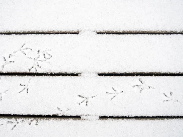 鸟儿在雪地上的踪迹 一个脚印的图案 鸽子在雪地里散步 鼻涕下木板的表面 — 图库照片