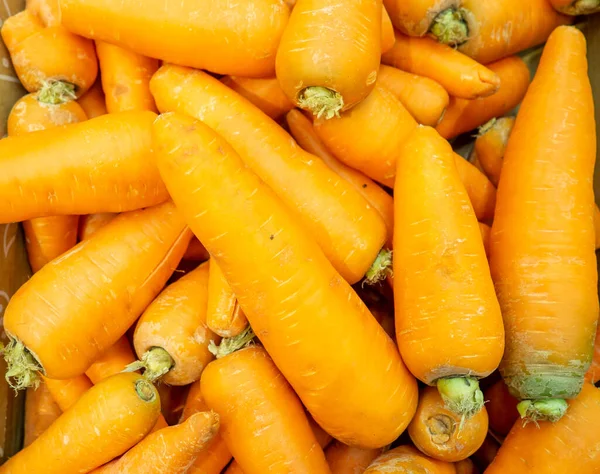 Zanahorias Jugosas Lavadas Hermosas Zanahorias Mostrador Tienda Fondo Verduras Raíz — Foto de Stock