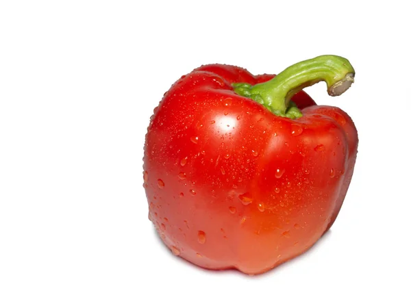 Rode Paprika Een Witte Achtergrond Een Gezonde Groente Druppels Water — Stockfoto