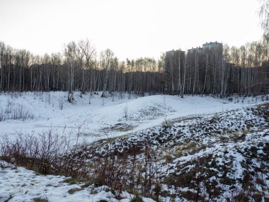Ağaçların arasında bir huş ağacı ve yüksek binalar parlıyor. Şehrin kenar mahallelerinde günbatımı