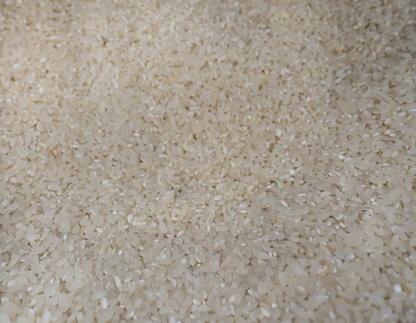 Arroz Grão Redondo Fundo Grãos Lotes Ric Branco — Fotografia de Stock