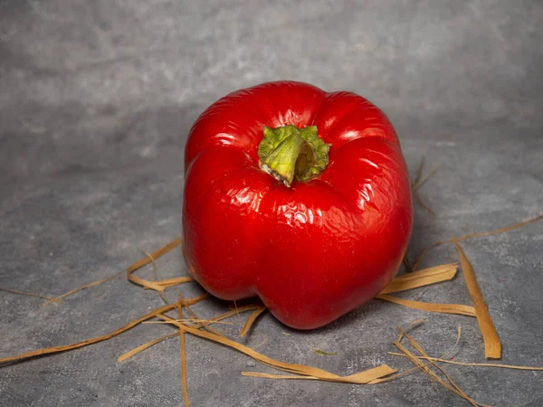 Rimpelde Rode Paprika Een Zwarte Achtergrond Oogst Tafel — Stockfoto