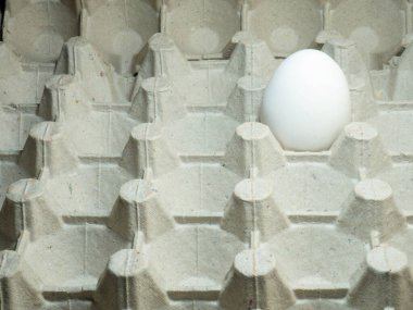 Boş bir pakette yumurta. Arta kalan ürünler. Yemek artıkları. Bir yumurta.