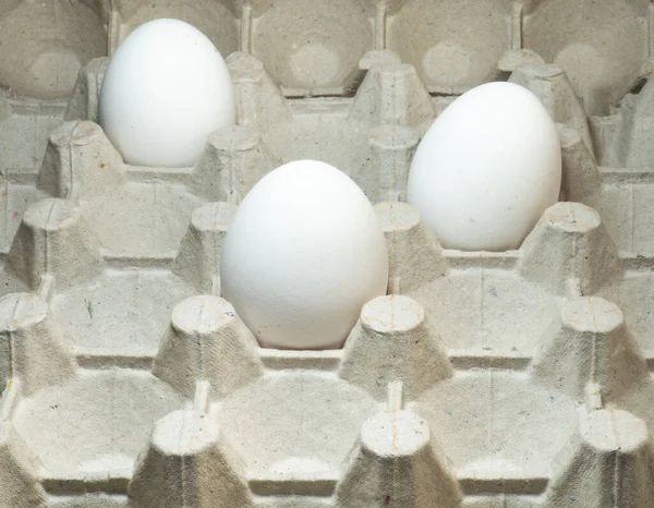 Boş bir pakette yumurtalar. Arta kalan ürünler. Yemek artıkları. Birkaç yumurta..