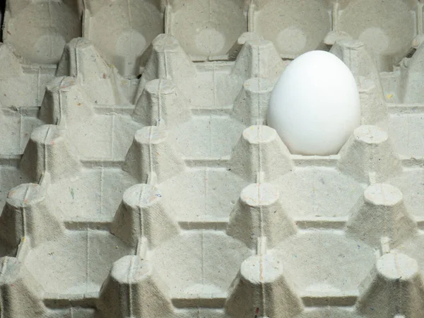 Boş bir pakette yumurta. Arta kalan ürünler. Yemek artıkları. Bir yumurta.