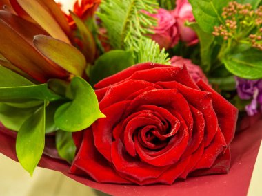 Farklı çiçeklerden bir buket. Yakın plan. Güzel çiçekler. Çiçekçi