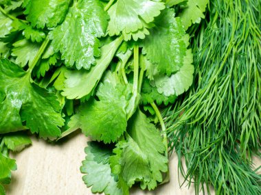 Bahçeden sebze karışımı. Maydanoz, kişniş, mutfak masasında dereotu. Yemek pişirmek. Faydalı yemek. Yemek için baharatlar. Salata hazırlığı. Yeşil kişniş