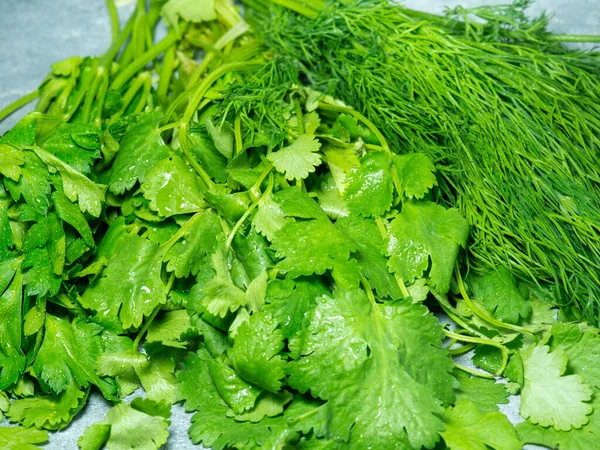 Mix of greens from the garden. Parsley, cilantro, dill on the kitchen table. Cooking. Useful food. Spices for the dish. Salad preparation. Green coriander