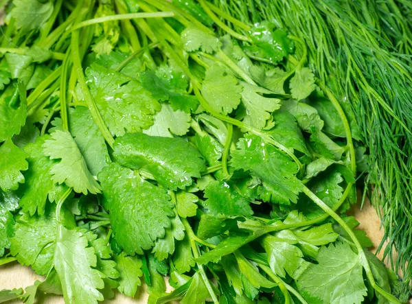 Mix of greens from the garden. Parsley, cilantro, dill on the kitchen table. Cooking. Useful food. Spices for the dish. Salad preparation. Green coriander