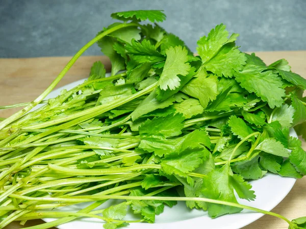 A bunch of coriander on a white plate. Useful product. Greens on the kitchen table. Vegetarian lunch ingredient. Lots of cilantro stalks