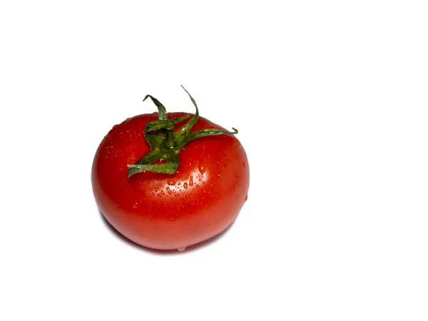 Tomate Estufa Fundo Branco Legume Suculento Isolado Tomate Legumes Gotas — Fotografia de Stock