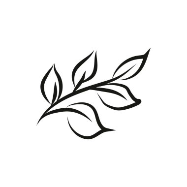 Yaprak logosu tasarımı, vektör doğal konsept ilham, yaprak ikonu. Yapraklar