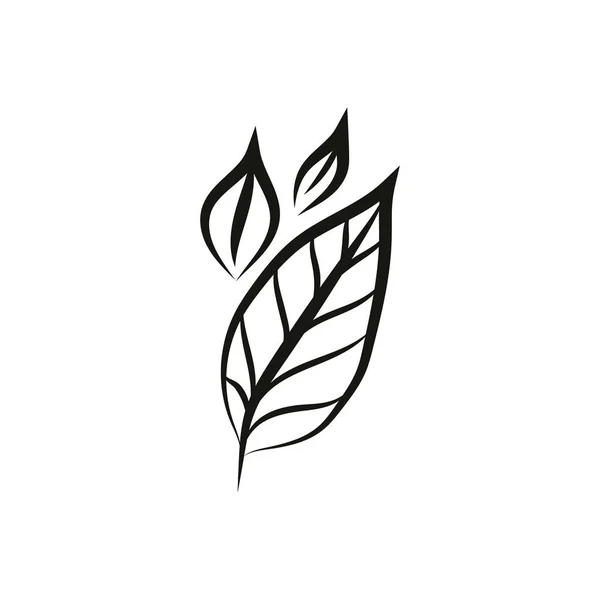 Diseño del logotipo de la hoja, vector de inspiración concepto natural, icono de la hoja. Hojas — Archivo Imágenes Vectoriales