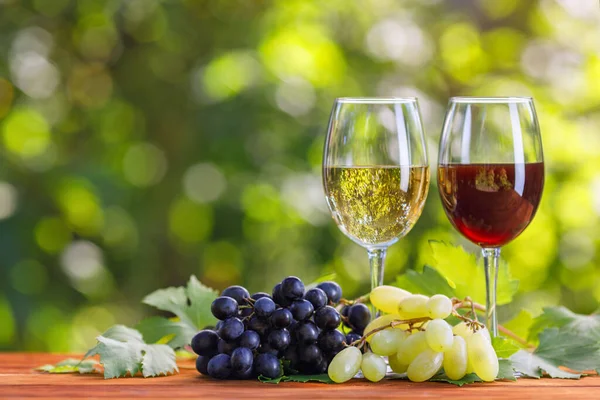Due bicchieri di vino rosso e bianco sul tavolo in giardino — Foto Stock