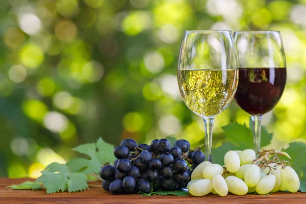 Due bicchieri di vino rosso e bianco sul tavolo in giardino — Foto Stock