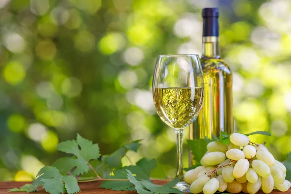 Bottiglia e bicchiere di vino bianco su tavolo in legno in giardino — Foto Stock