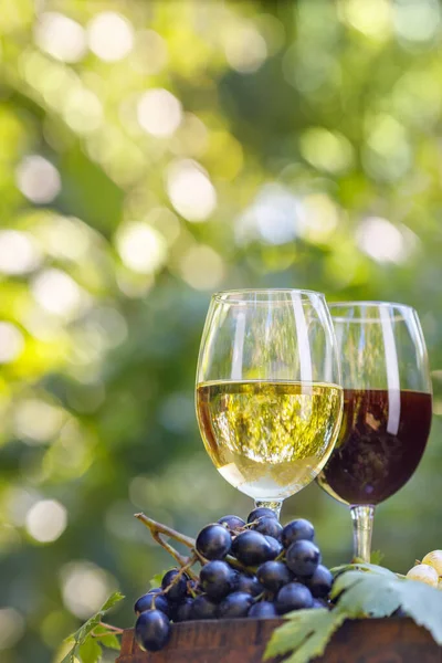 Due bicchieri di vino rosso e bianco su botte in giardino — Foto Stock