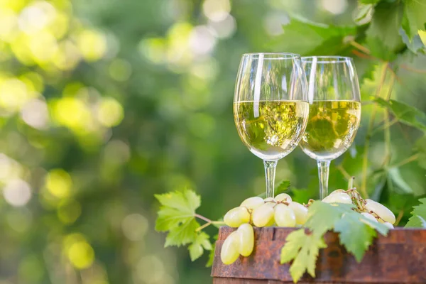 Due bicchieri di vino bianco su botte di legno in giardino — Foto Stock