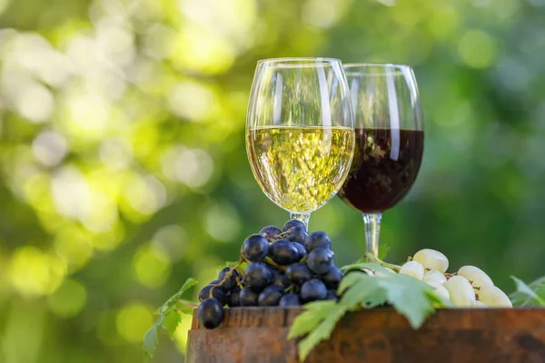 Due bicchieri di vino rosso e bianco su botte in giardino — Foto Stock