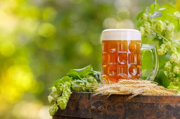 Bierkrug mit Weizenähren und Hopfenzapfen — Stockfoto