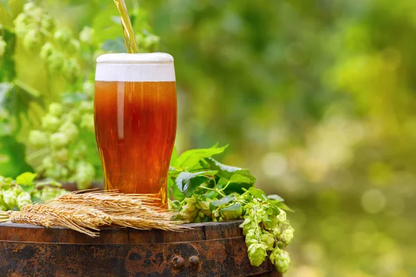 Beer pouring in glass on wooden barrel — Stock Photo, Image