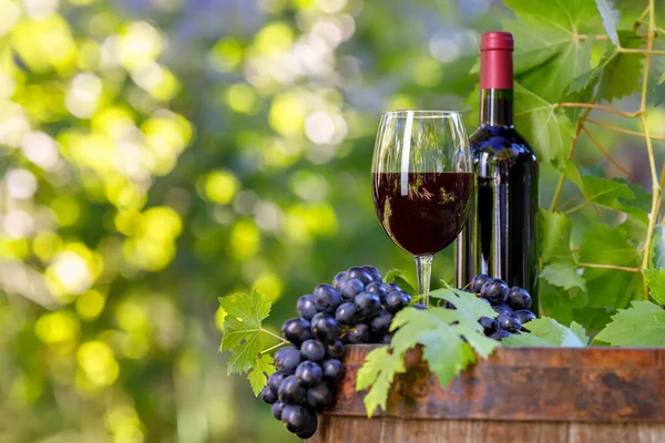 Bottiglia e bicchiere di vino rosso su botte di legno in giardino — Foto Stock