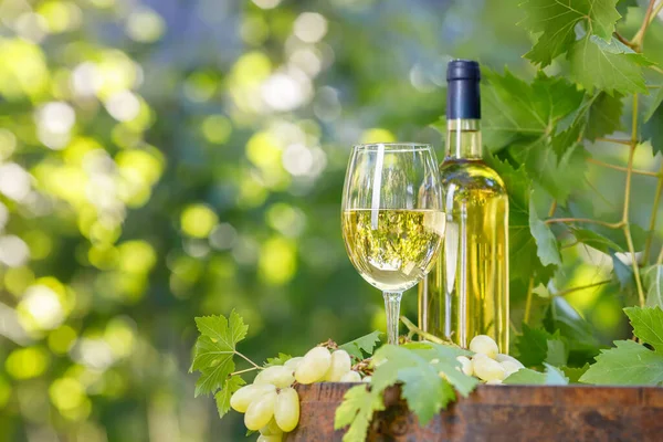 Bottiglia e bicchiere di vino bianco su botte di legno in giardino — Foto Stock