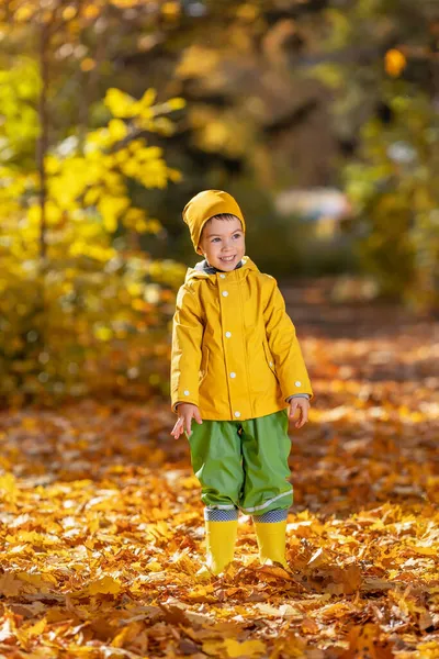 秋天公园里穿着黄色雨衣笑着的小男孩 — 图库照片