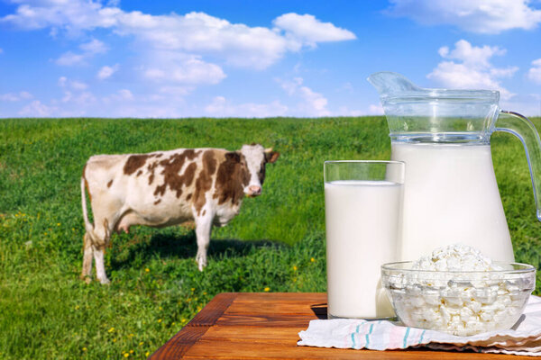 молоко и творог на деревянном столе с коровой на лугу на заднем плане