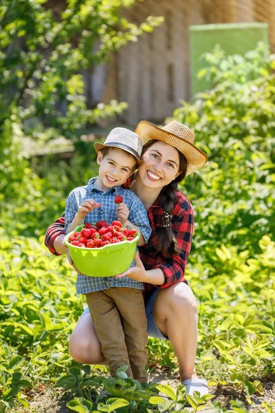 Giovane Donna Sorridente Con Bambino Che Tiene Fragole Ciotola Sulla — Foto Stock