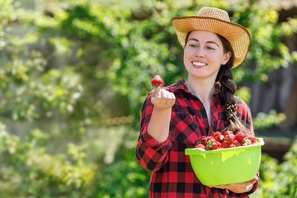 Jovem Agricultor Feliz Com Morangos Tigela Livre Conceito Colheita Jardinagem — Fotografia de Stock