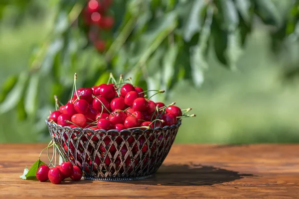 Ripe Cherries Basket Wooden Table Blurred Green Garden Background Concept — Stock Photo, Image