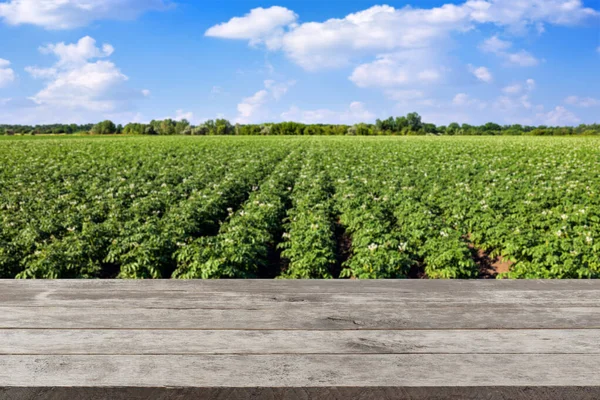 Empty Wooden Table Blooming Potato Field Blue Sky Background — ストック写真