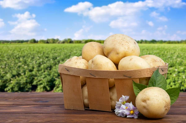 Young Potatoes Basket Flowers Wooden Table Blooming Field Background — ストック写真