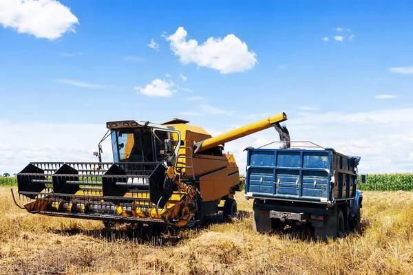 Combine Harvester Sprinkle Truck Rape Seed Field Blue Sky Clouds — Φωτογραφία Αρχείου